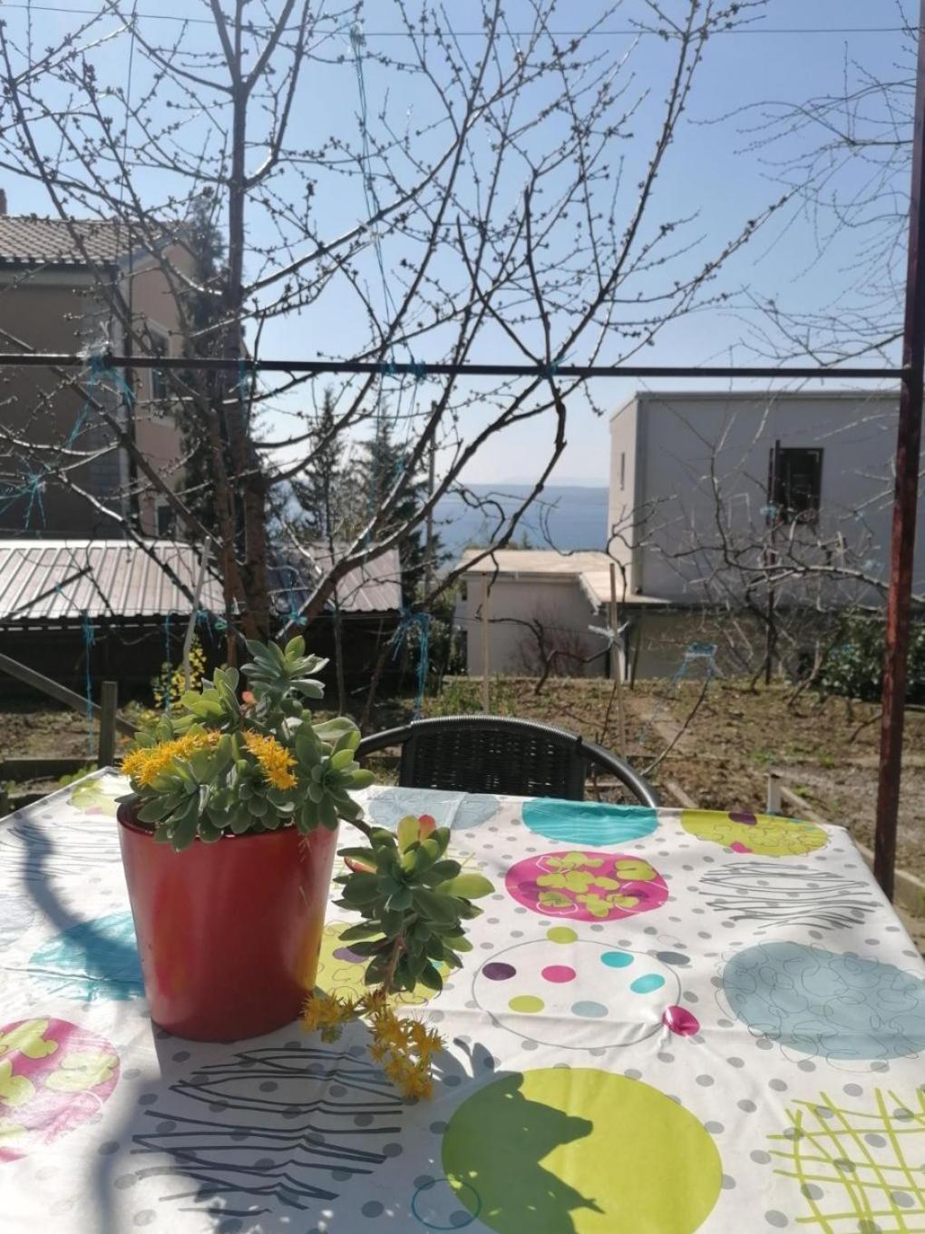 Apartments Olgi - Free Parking Crikvenica Esterno foto
